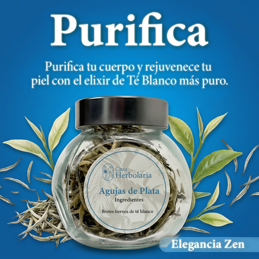 Ritual Elegancia Zen | Kit de 3 Tés + Infusor