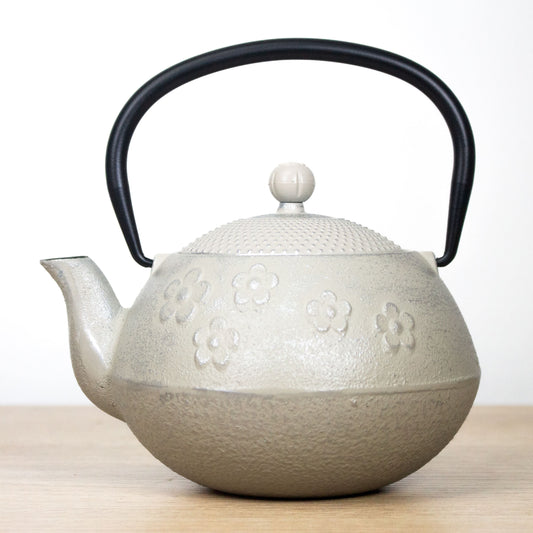 Tetera de Hierro Blanca 800 ml