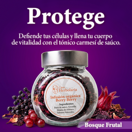 Ritual. Bosque Frutal. Kit de 3 Tés + Infusor Metálico