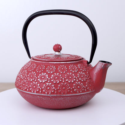 Tetera de Hierro Roja 1 Litro
