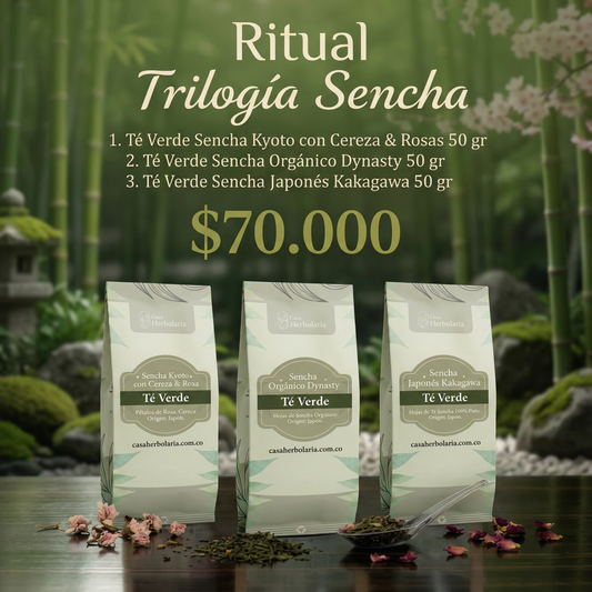Pack x 3. Ritual Trilogía Sencha. Té Verde Japonés
